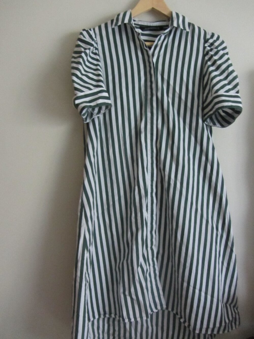 Zara Green Striped Shirtdress